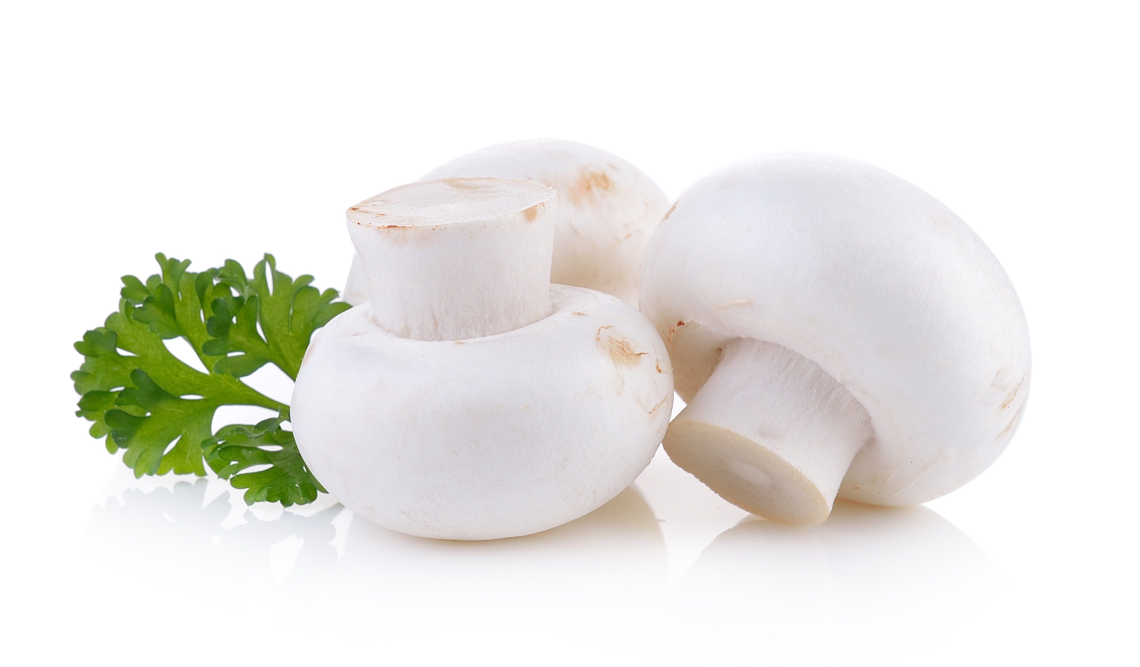 Champignons schale 250g