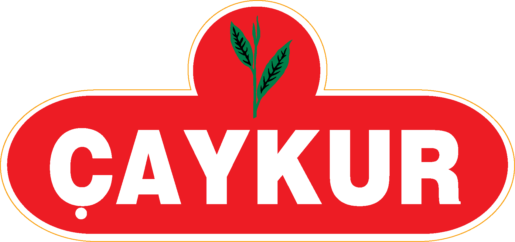 Caykur