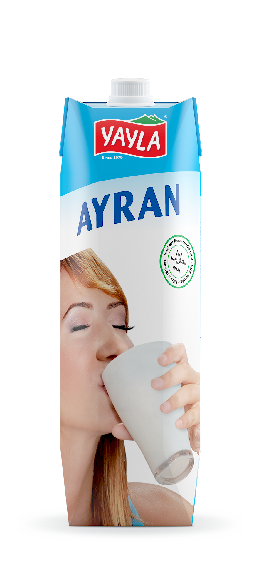 Yayla Ayran 1L