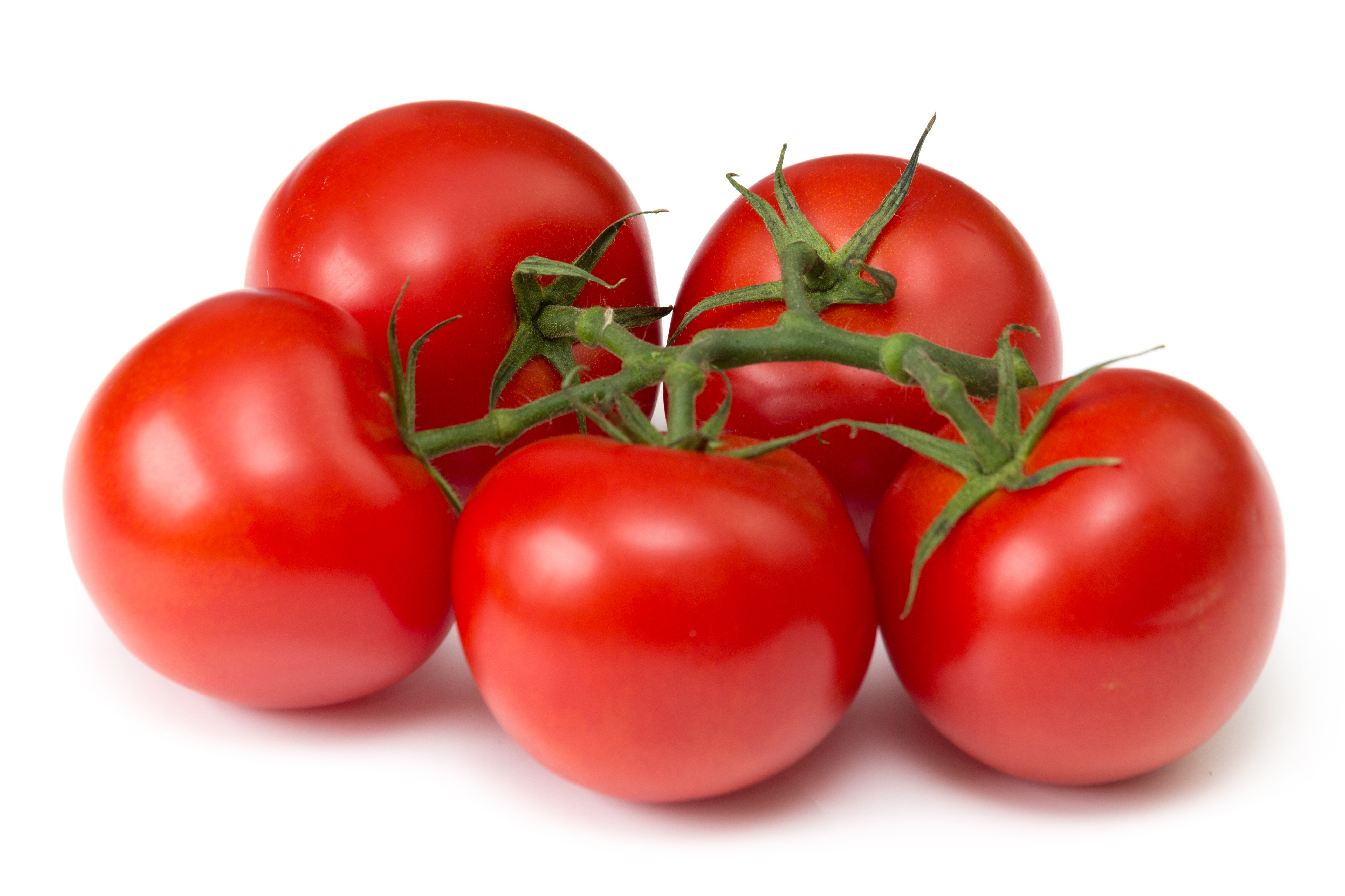 Strauchtomaten 500g